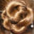 Nadeshda11's profile image