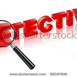 DIRECTOR  EXPOSE DETECTIVE SERVICES 
MEMBER (ASSOCIAON OF PRIVATE DETECTIVE DEHLI)