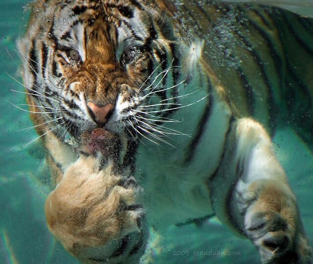 allyAliciaa's profile picture. life is full of unexpected outcomes