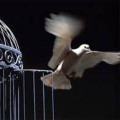 #HumanRights
iran