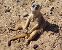 megaAunan's profile picture. Απόφοιτος του πανεπιστημίου Αυνάνισμ