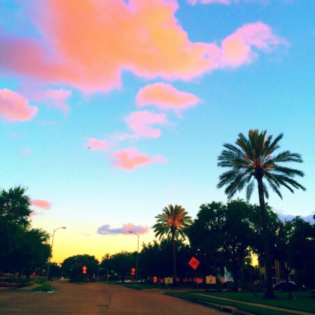 trapkinq's profile picture. 