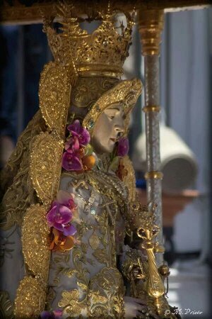 JonResti's profile picture. 