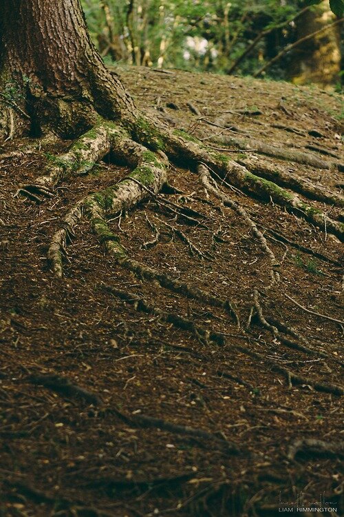 SanGorgonio's profile picture. Sierra Club, San Gorgonio Subcommittee. Advocating on behalf of Mother Earth and educating the public