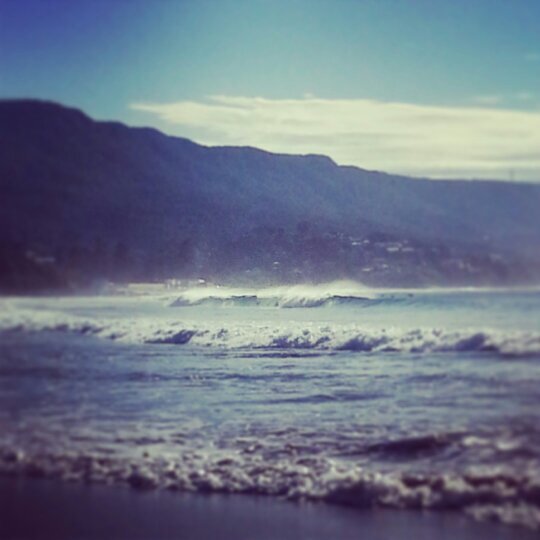 KylieBMcGrath's profile picture. 