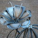 Eva Rendon-Smith - @evasmit79362073 - Twitter