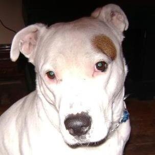 troy84727's profile picture. 