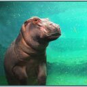 Jon Jones Photography - @stravinskykof - Twitter