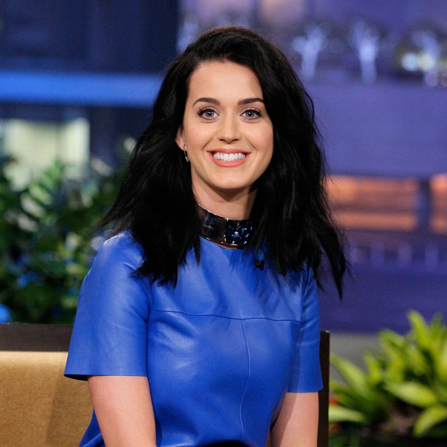 je suis une TRES grande fan de Katy Perry qui est mon idole depuis un an.Mon rêve est de la rencontrer à tout prix!!Mais au concert on l'a voit qui fait 3 cm!KP