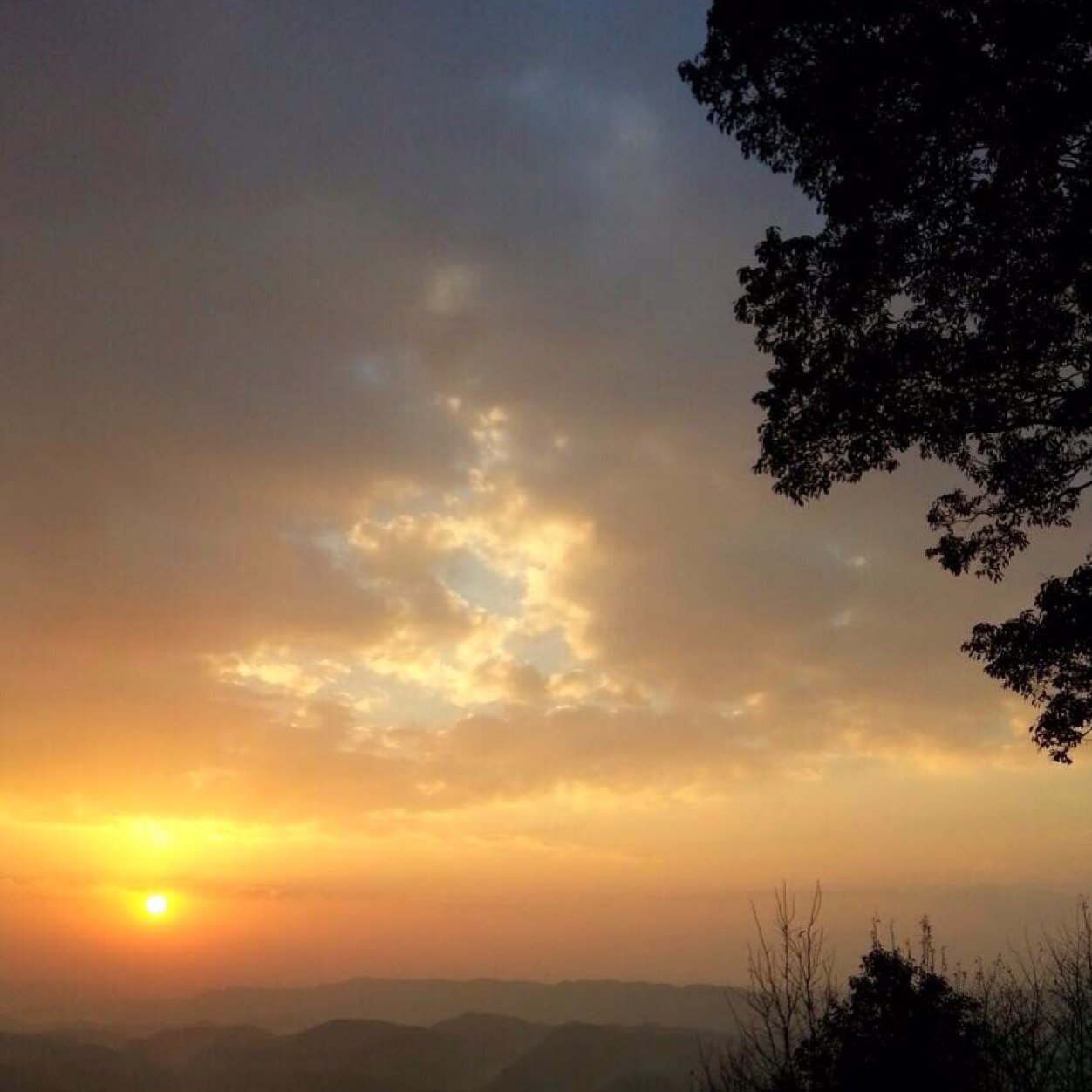 sdtc_mm's profile picture. SDTC 1部♡