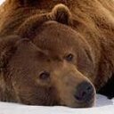 Manuel Pasos - @bullka333 - Twitter