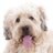 MyPawson's profile image