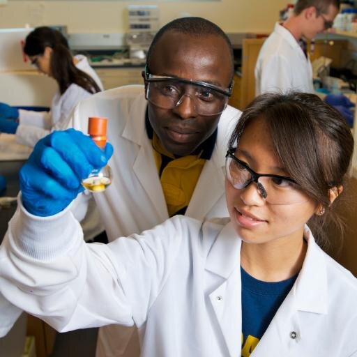 physicstutor12's profile picture. Physics Tutoring Tips has help for students in this challenging area of science. Quality instructors give guidance to students who need a confidence boost.