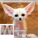 maytinee_may (@0958674192ma) Twitter