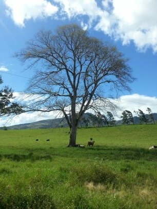 Abelgarcia72's profile picture. 