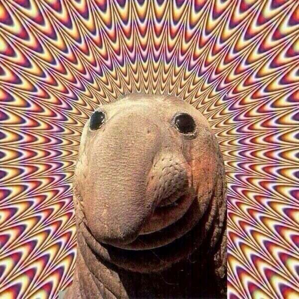 follow @viagra4luke because she loves you a lot x