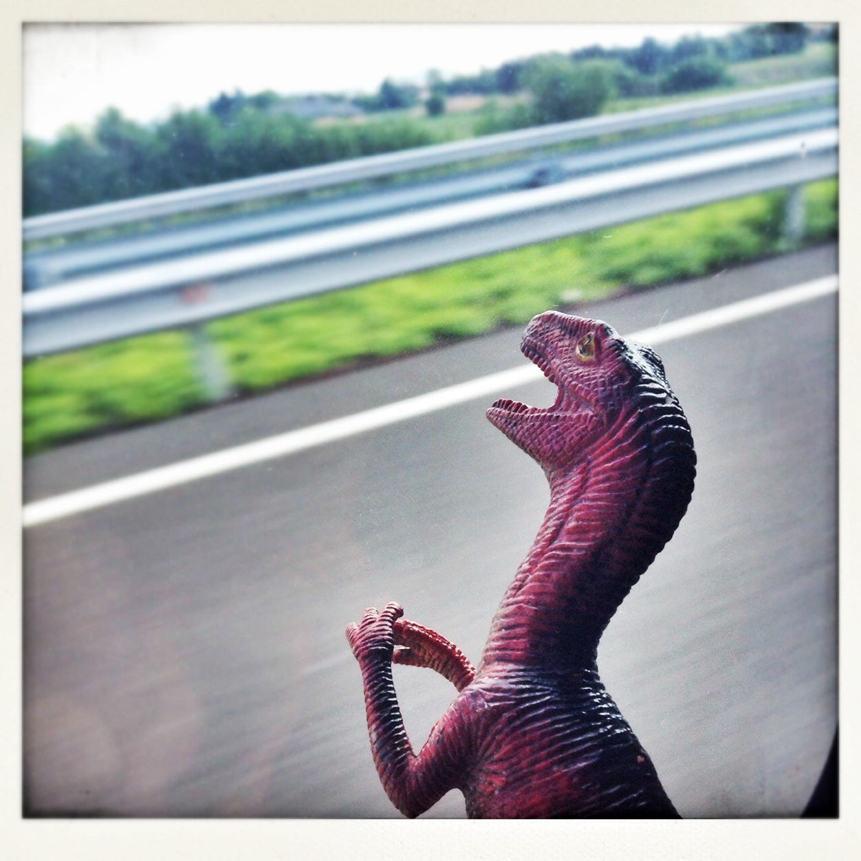 My name is Larz and I am a real dinosaur. I travel the world with my friend @cace92
#Larz_TheRealDino 
 Follow me on IG: Larz_therealdino to keep up with me!