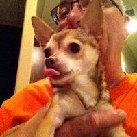 Michael Van Cleave (@mikevanc) 's Twitter Profile
