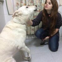 Pollo. (@beaberap) 's Twitter Profile