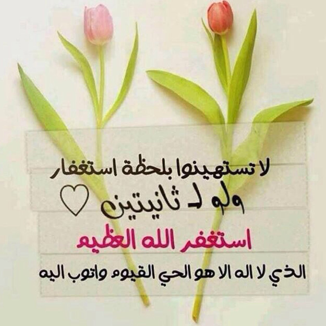 an🇸🇦🇸🇦🇸🇦