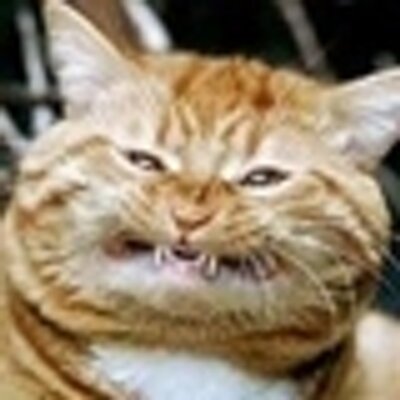 RabbitC's profile image