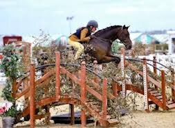BSPS Area 16 Norfolk and Suffolk from Beginners to Producers, classes for everyone to enjoy through the Winter, Spring and Summer including training days.