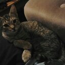 xenia thomas - @xebe1 - Twitter