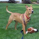 Joanne Yeager - @jrmyeager - Twitter