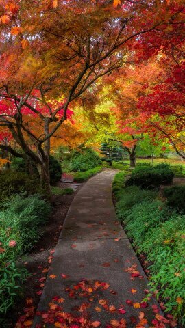 AhmedCubedesign's profile picture. 