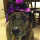 Bella Collins - @0792Bella - Twitter