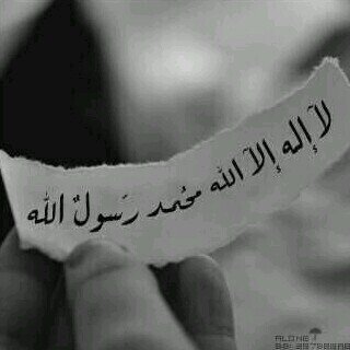 pink19199552's profile picture. حياتي هي 'جمييله' وﻻكن اتى شخص فبعثرني...