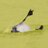 NichollsOfTheYd's profile image