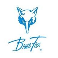 Bruce Fox, Inc. designs & manufactures #custom awards, trophies, promo gifts, signage, art & more for companies & organizations. Find us on FB, LinkedIn & Insta