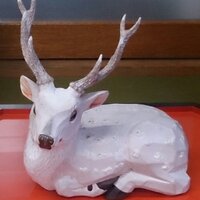 浦島こはる☂ (@urashimakoharu) 's Twitter Profile Photo