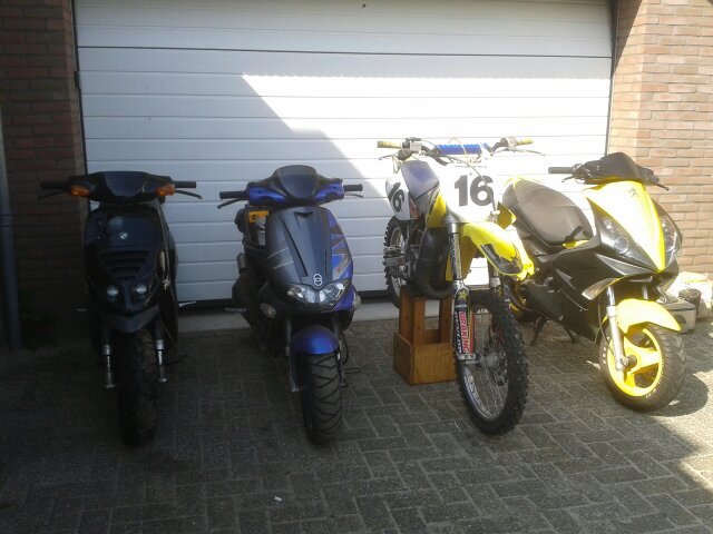 trug