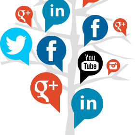 TrevorHermses's profile picture. Social Media expert