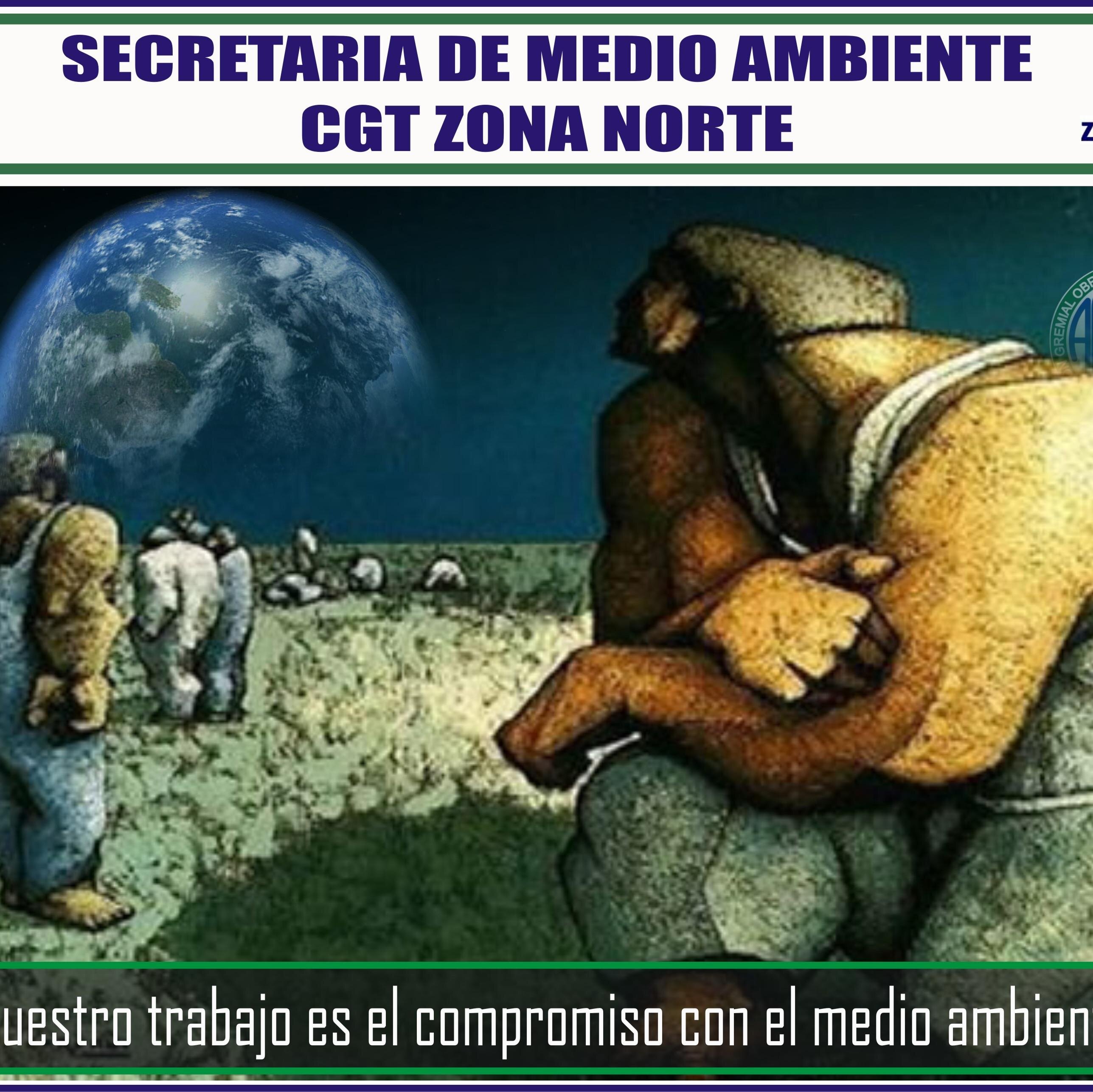 secretaria de medio ambiente CGT zona norte.