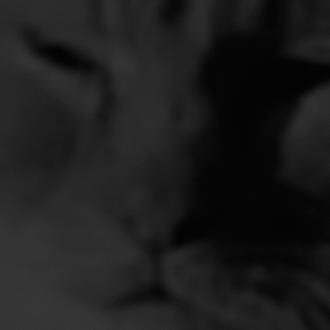 MtLionsRecords's profile picture. Record Label