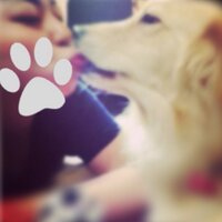 @YUU (@nonshoko) 's Twitter Profile