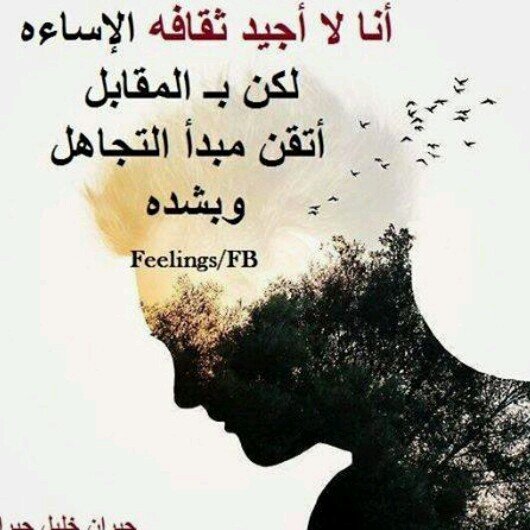 ابحث عن علاقات جديه