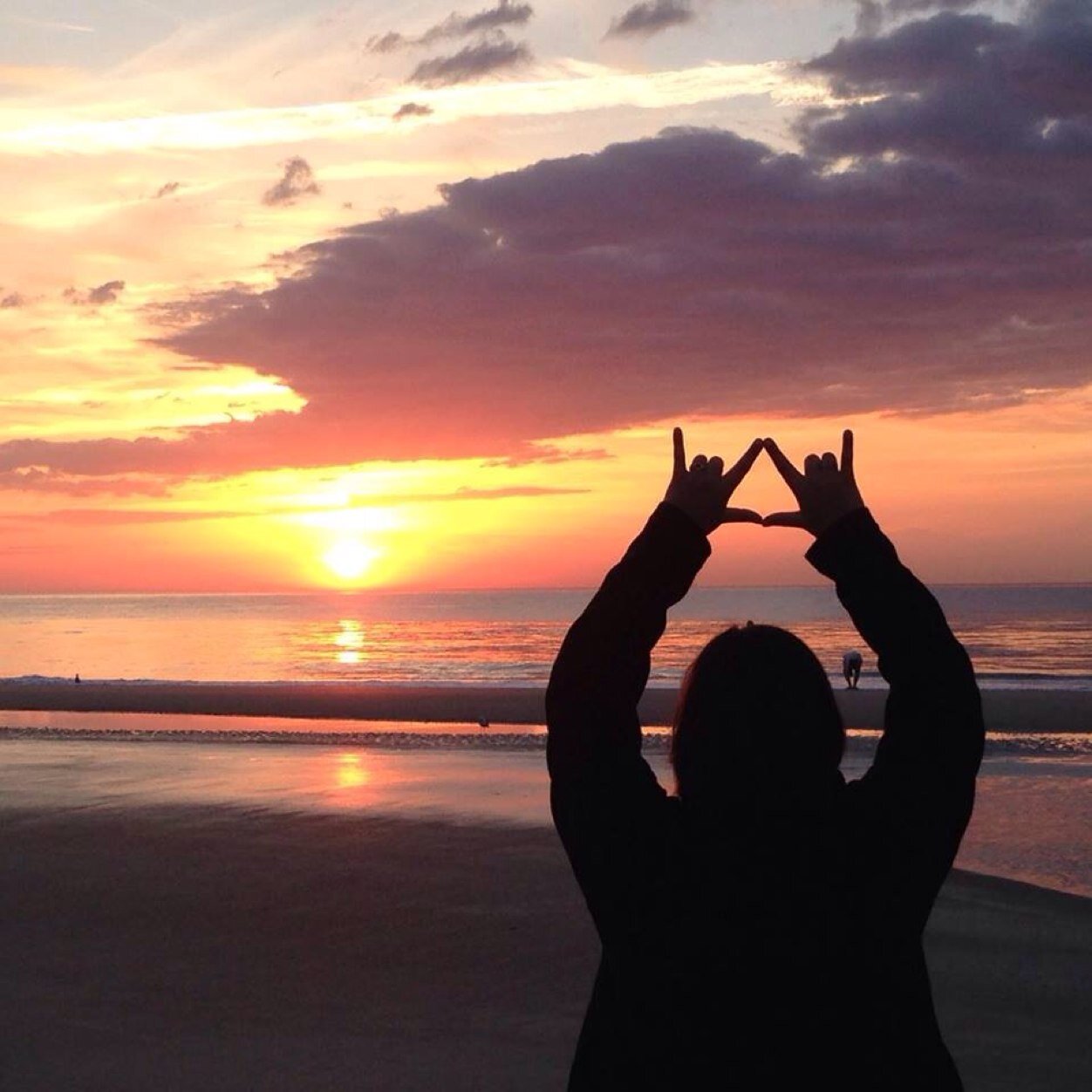 AlexaMaley's profile picture. 