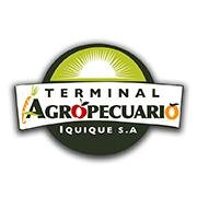 Terminalagroiquique