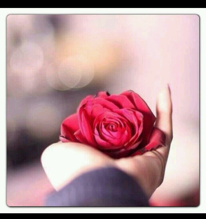 Alskh1420's profile picture. أحب العمل التطوعي لا أريد سوى أن أساعد الناس