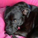 Matt Grenfell - @mattgrenfell69 - Twitter