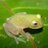 consevol's profile image
