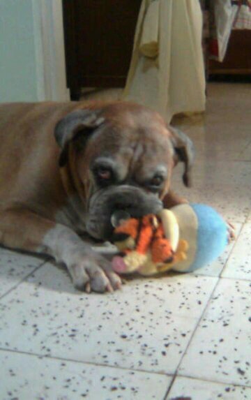 Hija de Dolly! Instrumentadora Qx. Mamá de Manolo🐽! Catolica! Uribista🇨🇴! Amo a mis hermanos! En el perfil Rocco 🧡 por siempre!