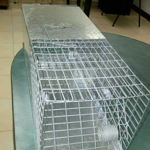 Trampas para ratas somos fabricantes estaciones de paso