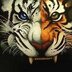 TAIGER BLAK G.S 2203 (@0976omarsierrad) Twitter