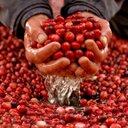 Allan Williams - @ChefAllanPEI - Twitter