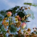 Catherine Pugh - @Phew3W220 - Twitter